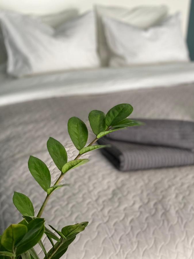 City Ocean Apartment Νταουγκαβπίλς Εξωτερικό φωτογραφία